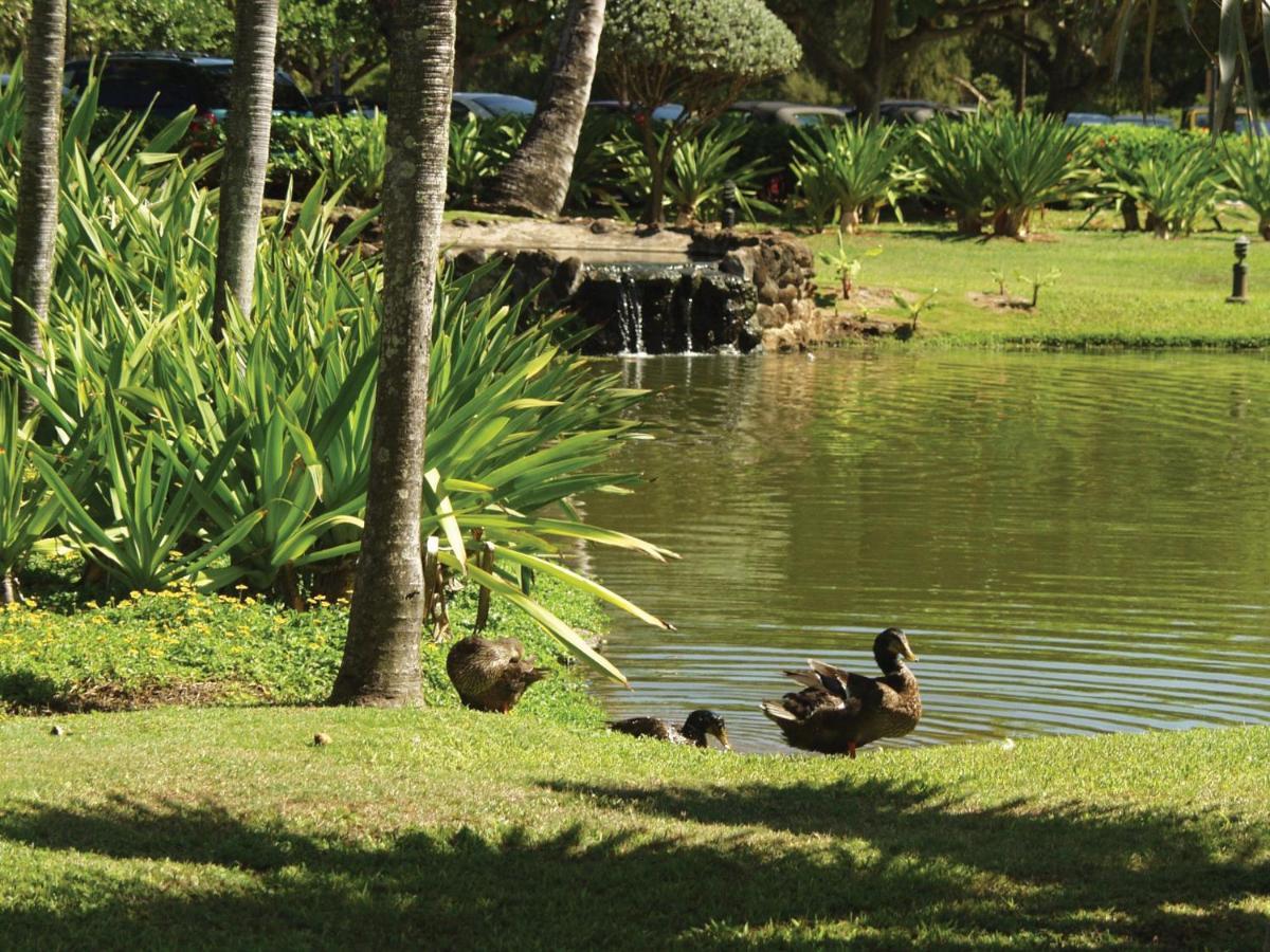 Kauai Beach Villas Lihue Exterior photo